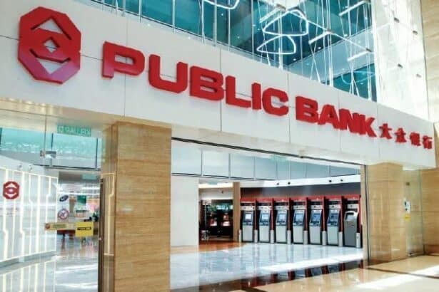 What are the features of a public bank?